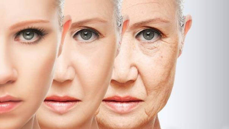 hormone anti age dr leclercq