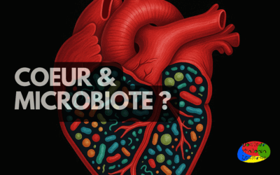 Microbiote intestinal et cœur : une nouvelle ère pour la prévention cardiovasculaire