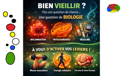 Bien vieillir : les mécanismes biologiques qui influencent réellement la longévité