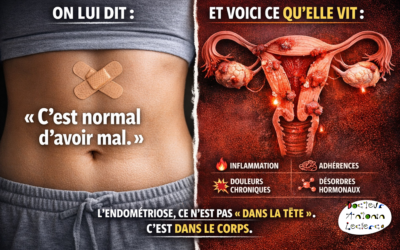 Endométriose : comprendre les mécanismes invisibles et agir avec une approche globale