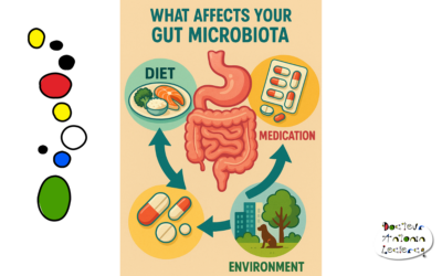 Microbiote intestinal : alimentation, médicaments et environnement